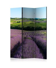 Pertvara  Lavender fields [Room Dividers]