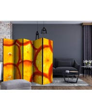 Pertvara  Orange slices [Room Dividers]