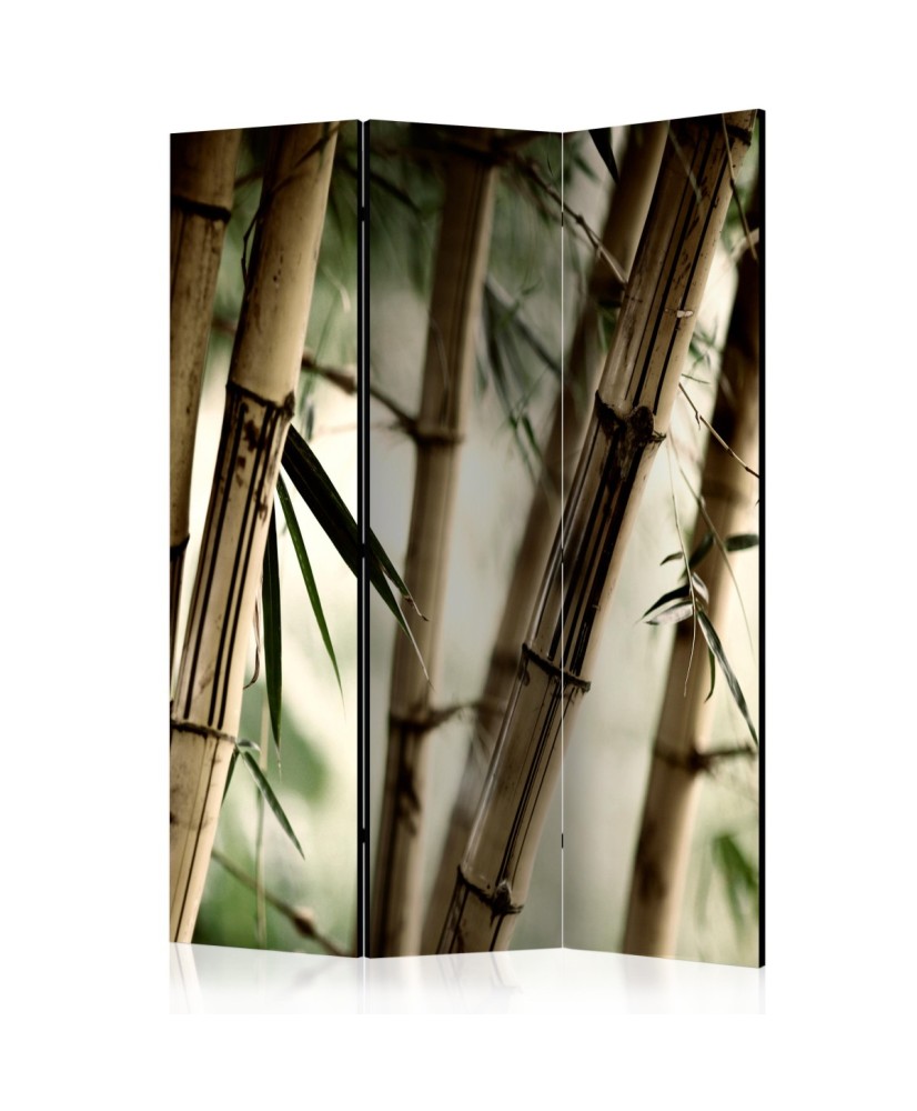 Pertvara  Fog and bamboo forest [Room Dividers]