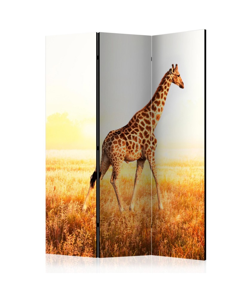 Pertvara  giraffe  walk [Room Dividers]