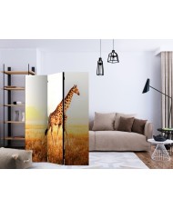 Pertvara  giraffe  walk [Room Dividers]