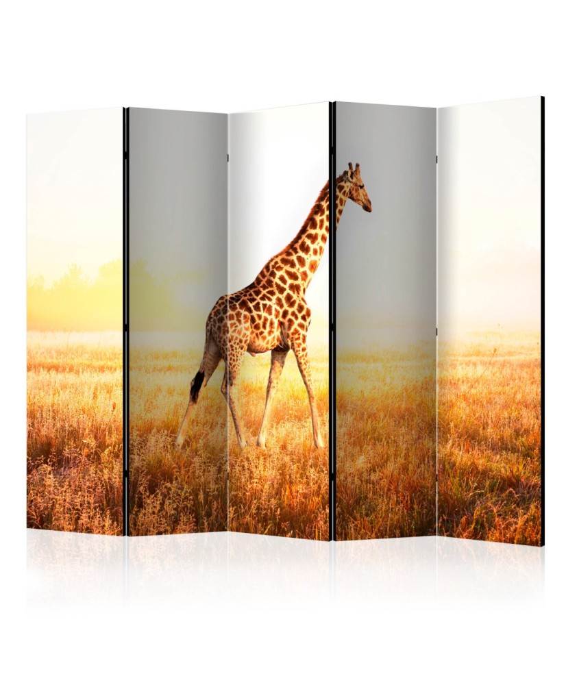 Pertvara  giraffe  walk [Room Dividers]