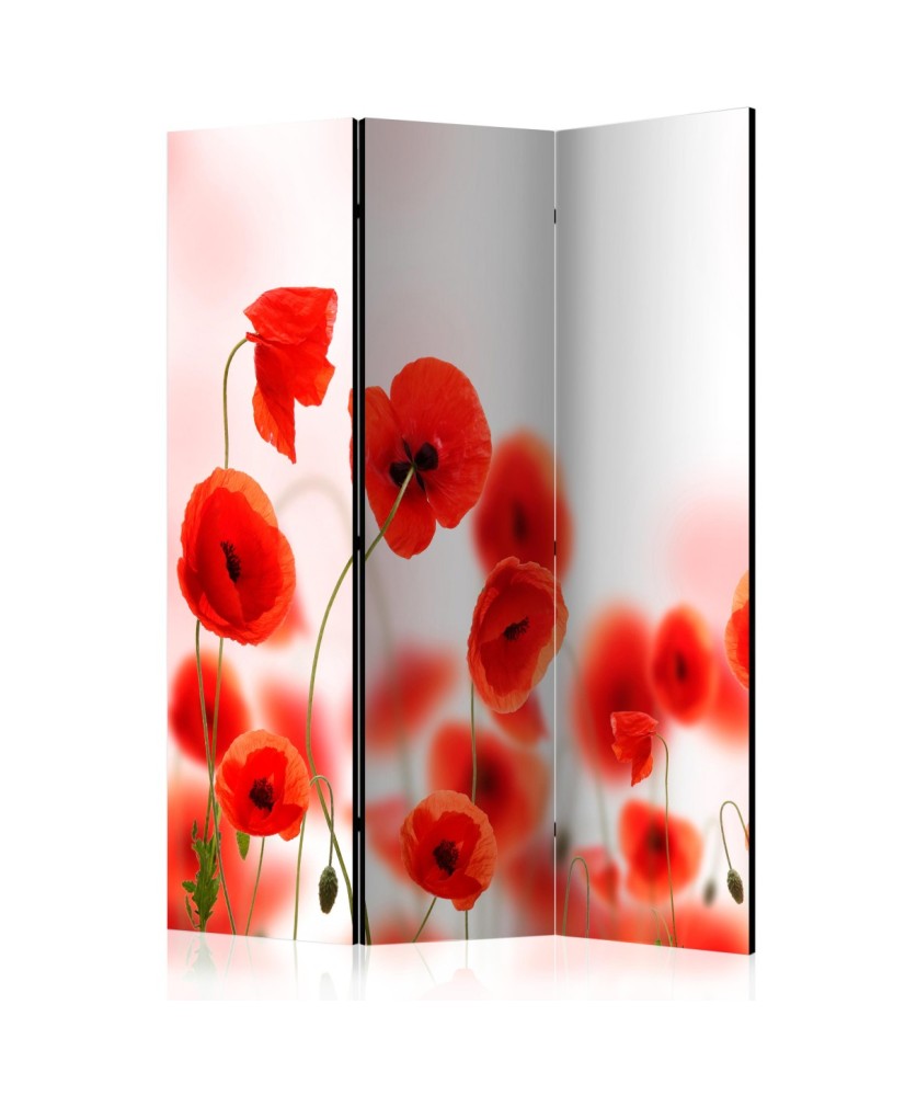 Pertvara  Sleepy poppys land [Room Dividers]