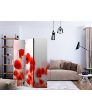 Pertvara  Sleepy poppys land [Room Dividers]