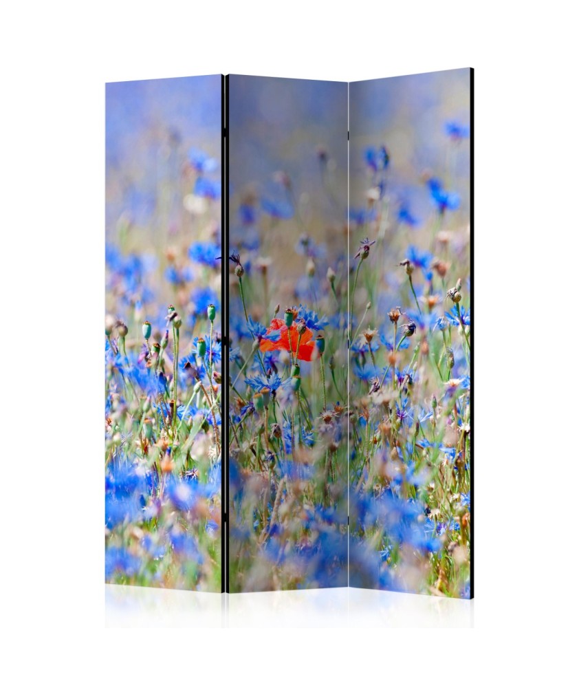 Pertvara  A skycolored meadow  cornflowers [Room Dividers]