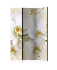 Pertvara  Orchid Branch [Room Dividers]