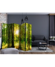 Pertvara  Forest Rays [Room Dividers]