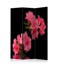 Pertvara  Azalea in Black [Room Dividers]