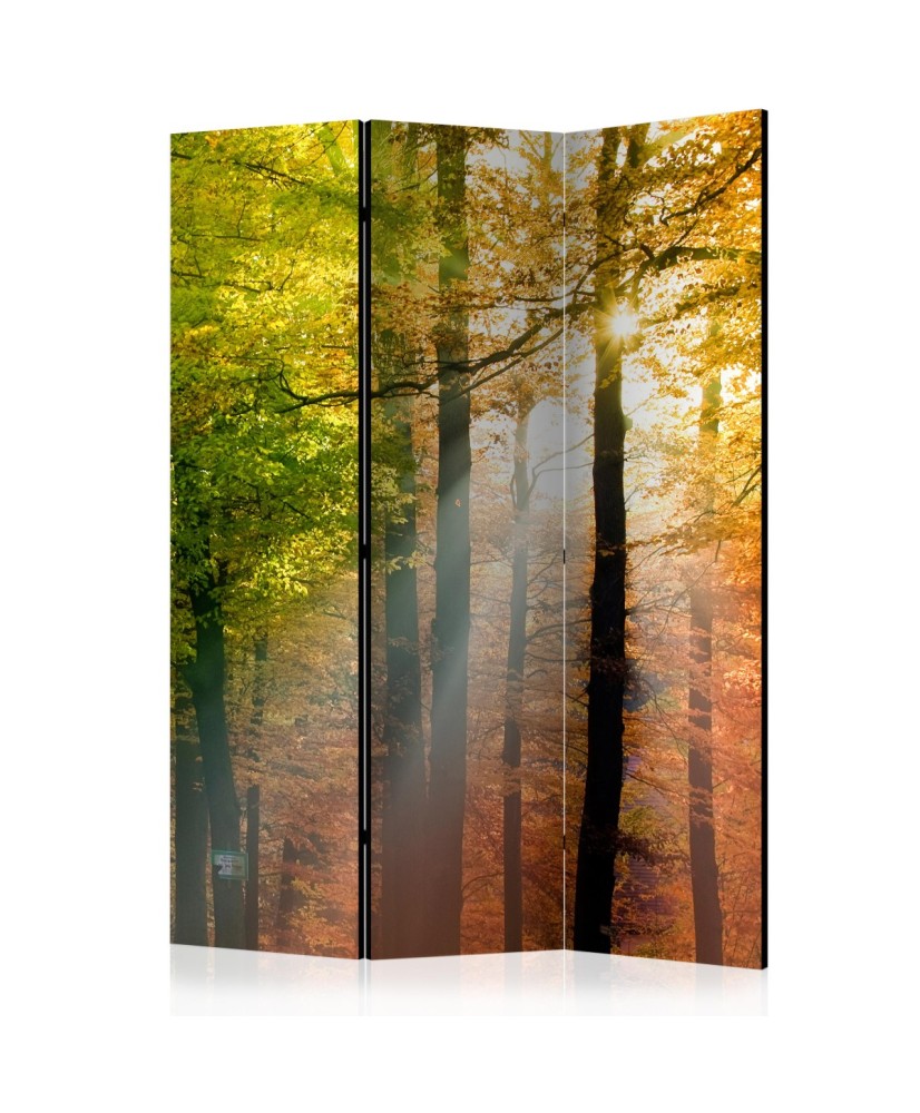 Pertvara  Forest Colours [Room Dividers]