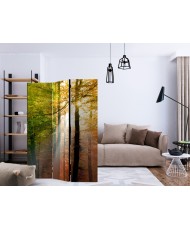 Pertvara  Forest Colours [Room Dividers]