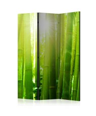 Pertvara  Sun and bamboo [Room Dividers]