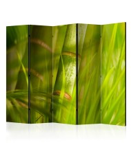 Pertvara  bamboo  nature zen [Room Dividers]