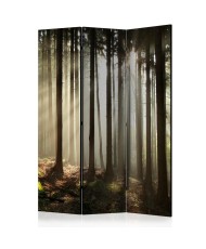 Pertvara  Coniferous forest [Room Dividers]