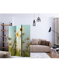 Pertvara  Daisies  spring meadow [Room Dividers]