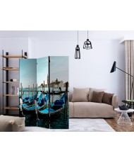 Pertvara  Gondolas on the Grand Canal, Venice [Room Dividers]