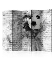 Pertvara  Dynamic Football [Room Dividers]