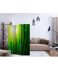 Pertvara  Sun and bamboo [Room Dividers]