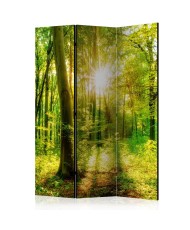 Pertvara  Forest Rays [Room Dividers]
