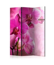 Pertvara  Pink Orchid [Room Dividers]