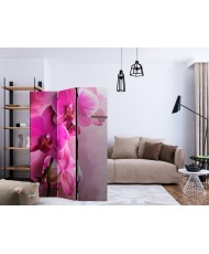 Pertvara  Pink Orchid [Room Dividers]
