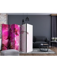Pertvara  Pink Orchid II [Room Dividers]