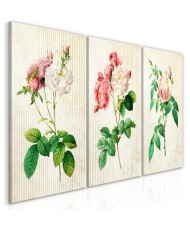 Paveikslas  Floral Trio (Collection)