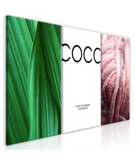 Paveikslas  Coco (Collection)