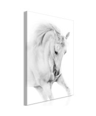 Paveikslas  White Horse (1 Part) Vertical