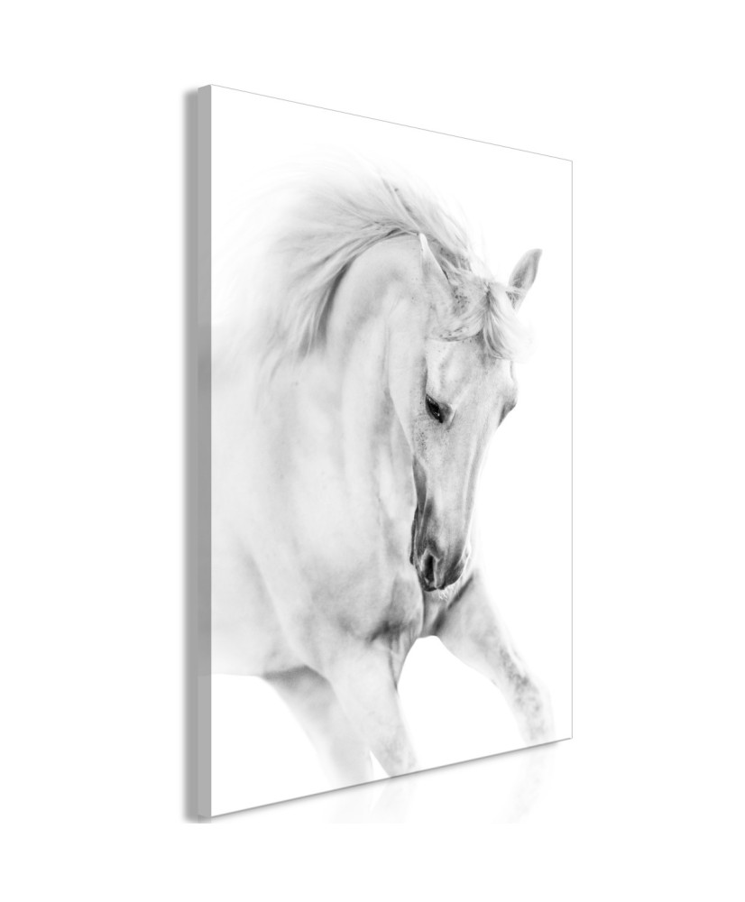 Paveikslas  White Horse (1 Part) Vertical