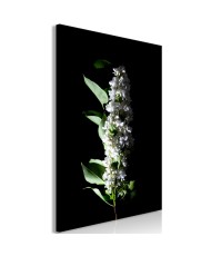 Paveikslas  White Lilacs (1 Part) Vertical