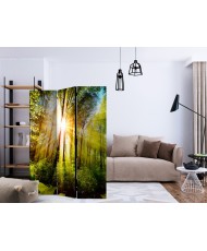 Pertvara  Forest Hideout [Room Dividers]