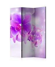 Pertvara  Purple Orchids [Room Dividers]