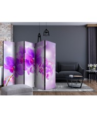 Pertvara  Purple Orchids II [Room Dividers]