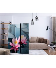 Pertvara  Lotus blossoms [Room Dividers]