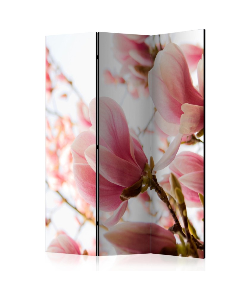 Pertvara  Pink magnolia [Room Dividers]
