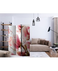 Pertvara  Pink magnolia [Room Dividers]