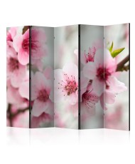 Pertvara  Spring, blooming tree  pink flowers II [Room Dividers]