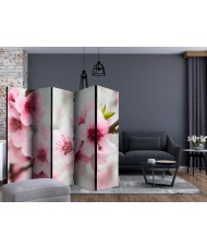 Pertvara  Spring, blooming tree  pink flowers II [Room Dividers]