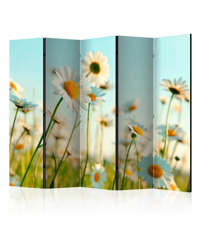 Pertvara  Daisies  spring meadow II [Room Dividers]