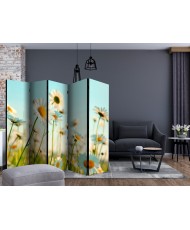 Pertvara  Daisies  spring meadow II [Room Dividers]