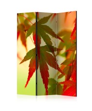 Pertvara  Colourful leaves [Room Dividers]