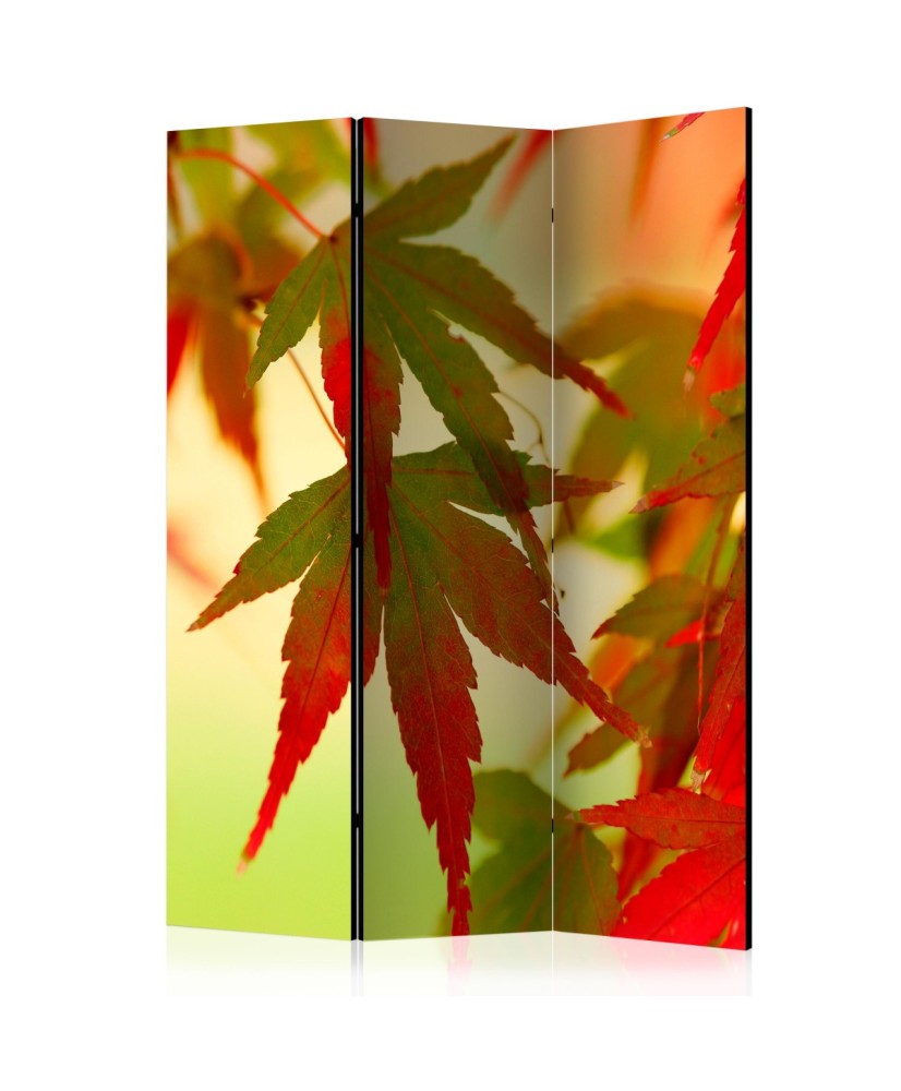 Pertvara  Colourful leaves [Room Dividers]