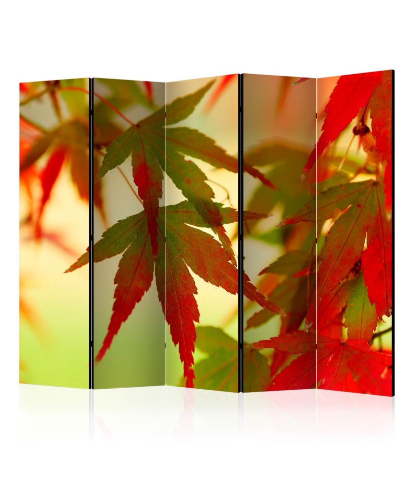 Pertvara  Colourful leaves II [Room Dividers]
