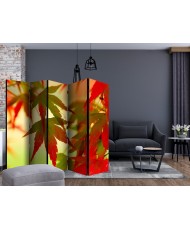 Pertvara  Colourful leaves II [Room Dividers]