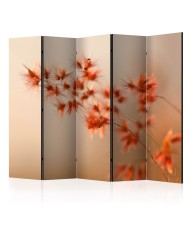 Pertvara  Closer to nature II [Room Dividers]