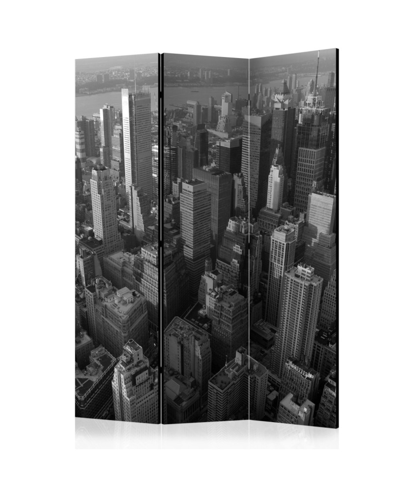 Pertvara  New York skyscrapers (birds eye view) [Room Dividers]