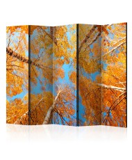 Pertvara  Autumnal treetops II [Room Dividers]