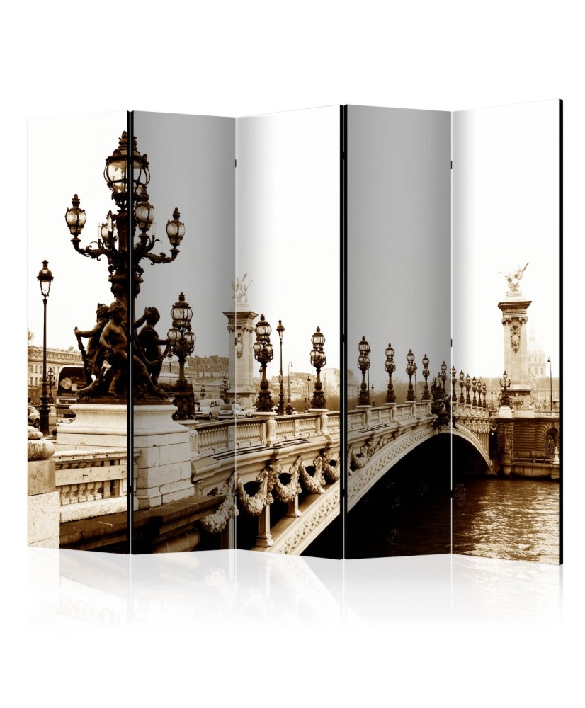 Pertvara  Alexander III Bridge, Paris II [Room Dividers]