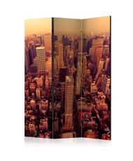 Pertvara  Bird Eye View Of Manhattan, New York [Room Dividers]