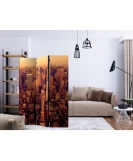 Pertvara  Bird Eye View Of Manhattan, New York [Room Dividers]